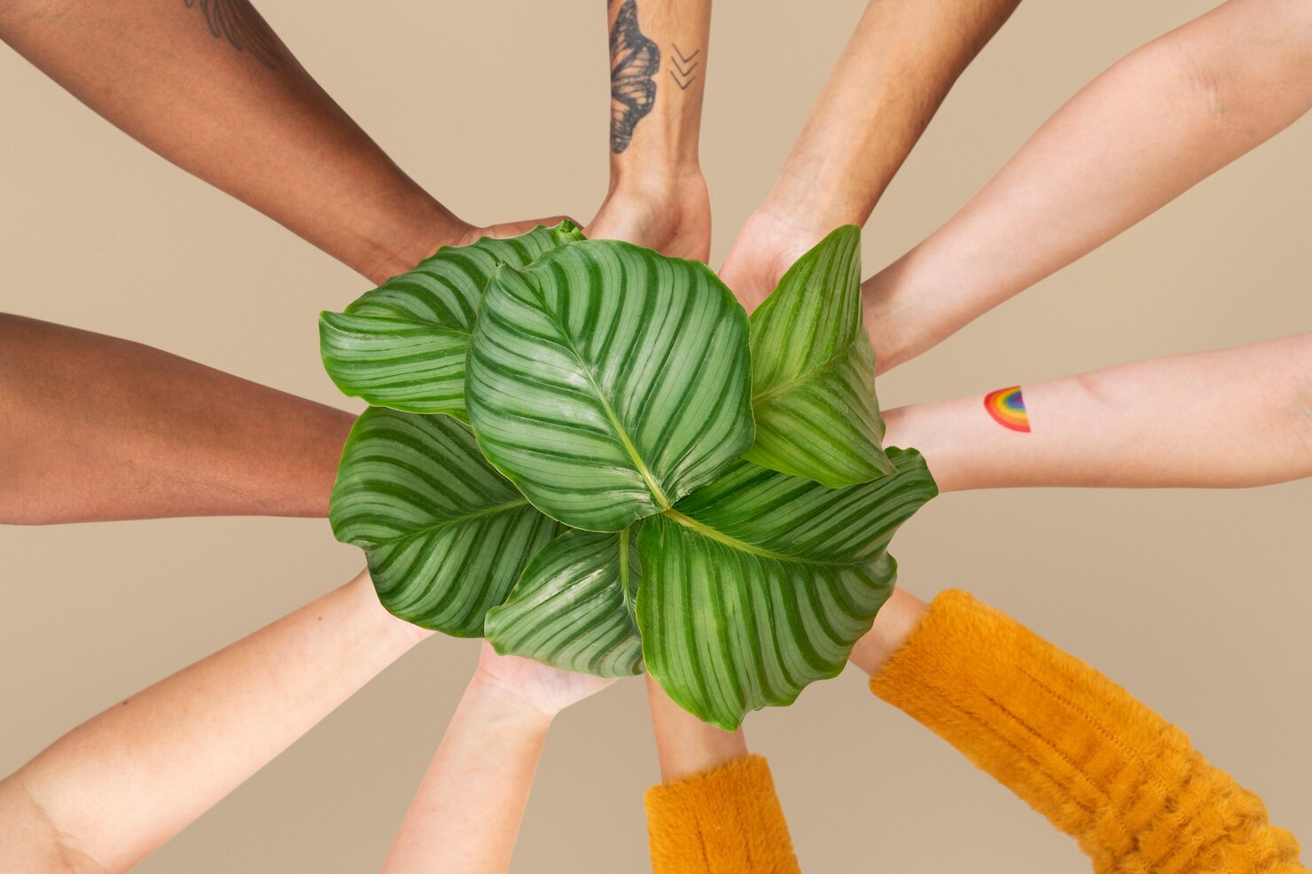 MCI Group CSR