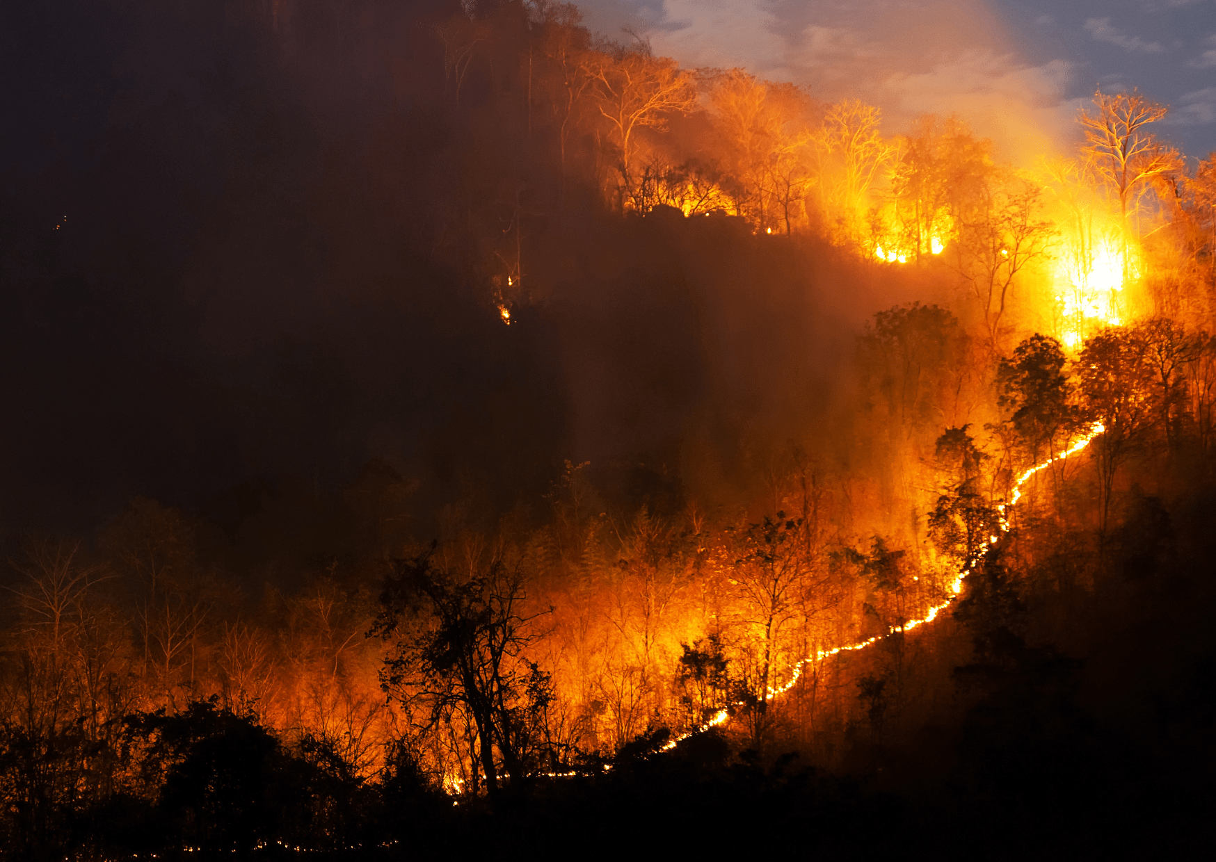 wildfire