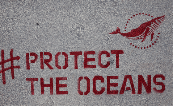 Protecting Our Oceans Starts with Awareness: MCI Latam Welcomes Fundación Océano Limpio